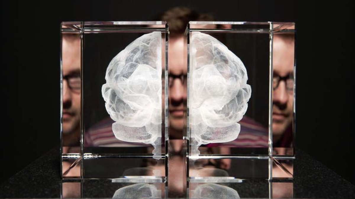 Imagen de archivo de la exposición ‘Cerebros: la mente como materia’
