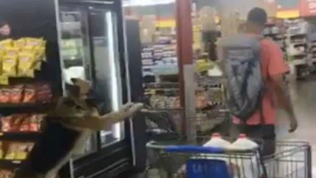 Captura de pantalla del perro conduciendo un carrito de la compa en un supermercado junto a su amo