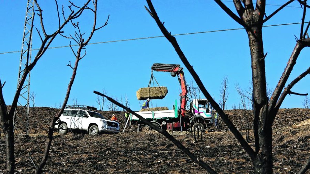 Los vecinos de los pueblos afectados por el incendio critican que el millón de ayudas se esté destinando a tirar paja por el monte y hacer albarradas.