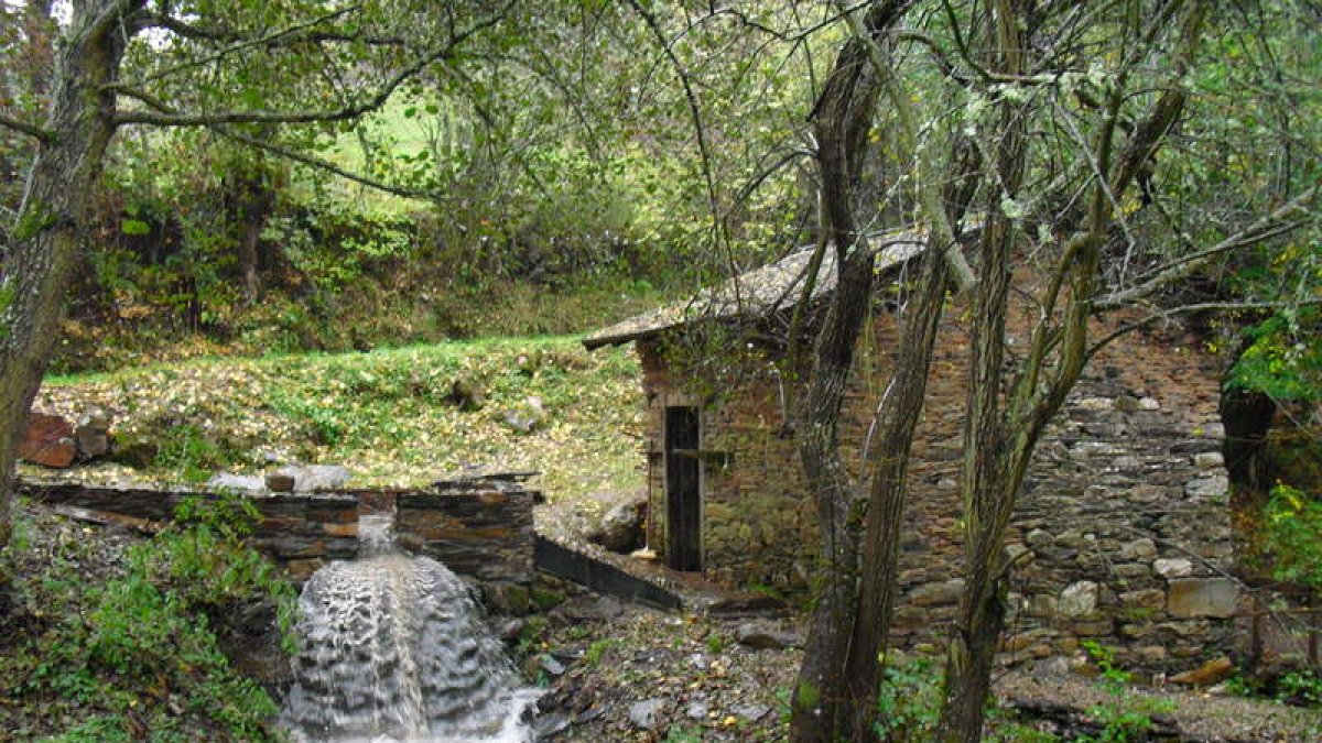 El Molino de la Fuente del Oro es uno de los tres que ha restaurado el Ayuntamiento de Páramo del Sil y uno de los siete que dan cuenta del pasado agrícola del pueblo en tan sólo dos kilómetros. Aún funciona y su interior puede verse