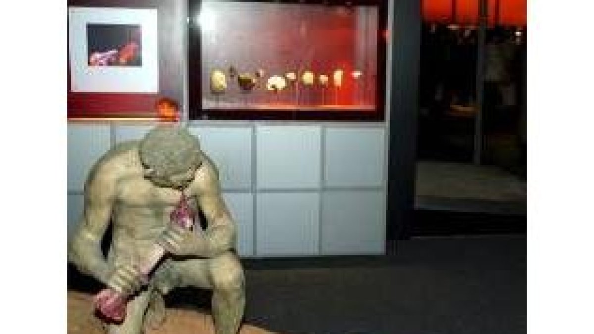 La exposición explica de forma muy ilustrativa la evolución humana