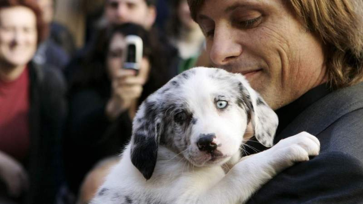 Viggo Mortensen con la cría de carea que le regalaron el día de la ceremonia de la entrega de la Medalla de Oro de la Provincia. RAMIRO