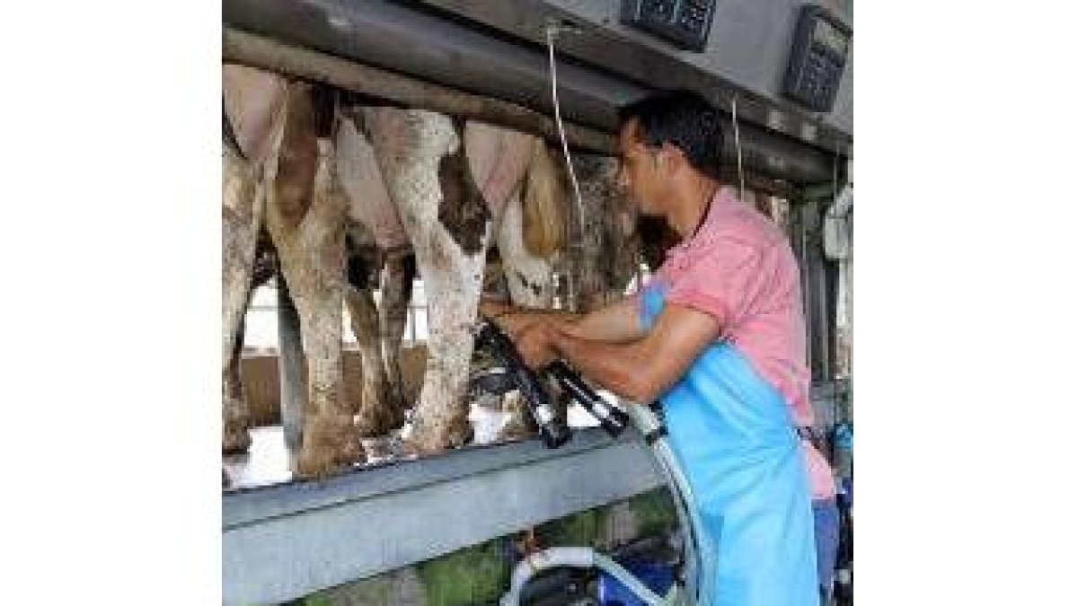 Las ayudas suponen una maraña burocrática