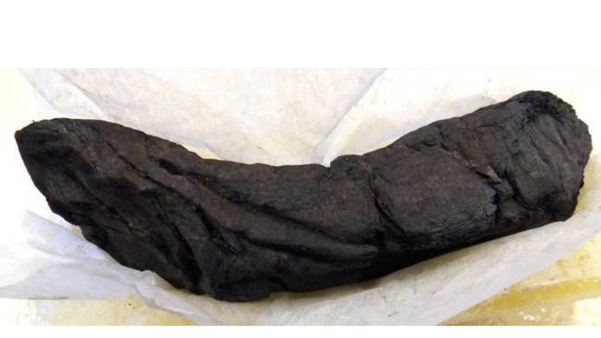 Manuscrito sepultado bajo la lava del Vesubio, en las ruinas de Herculano.