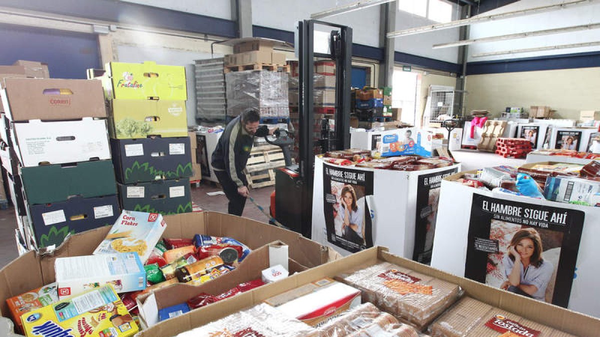 Almacén del Banco de Alimentos con todos los productos de la Gran Recogida