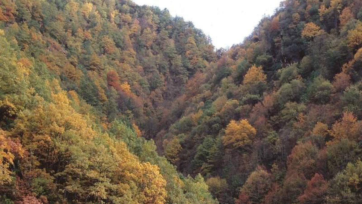 Laciana es una comarca de naturaleza indómita, con abruptos bosques mixtos, brañas y espacios curiosos como el Centro de Interpretación del Urogallo, en Caboalles de Arriba, o el Aula de Geología de Robles. Además de rutas a caballopor el Alto Sil, la est