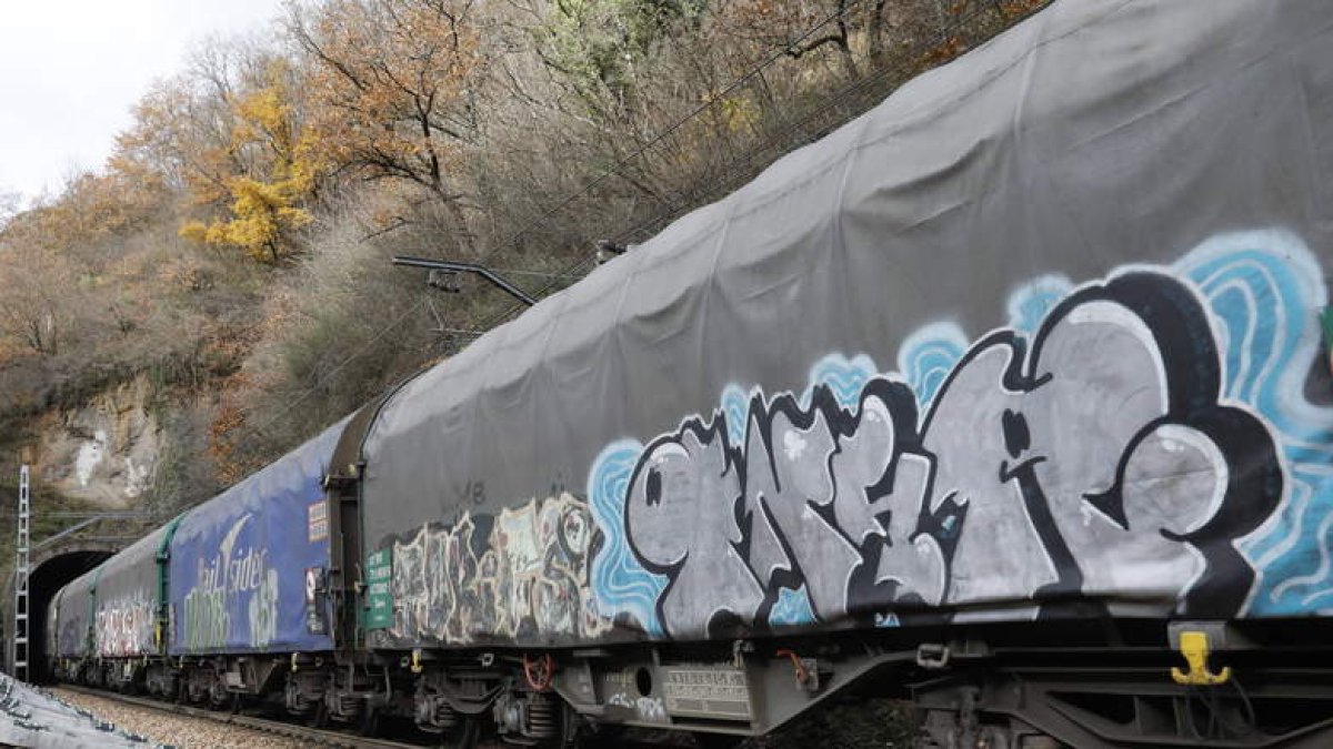 Vagones de un tren de mercancías. MARCIANO PÉREZ