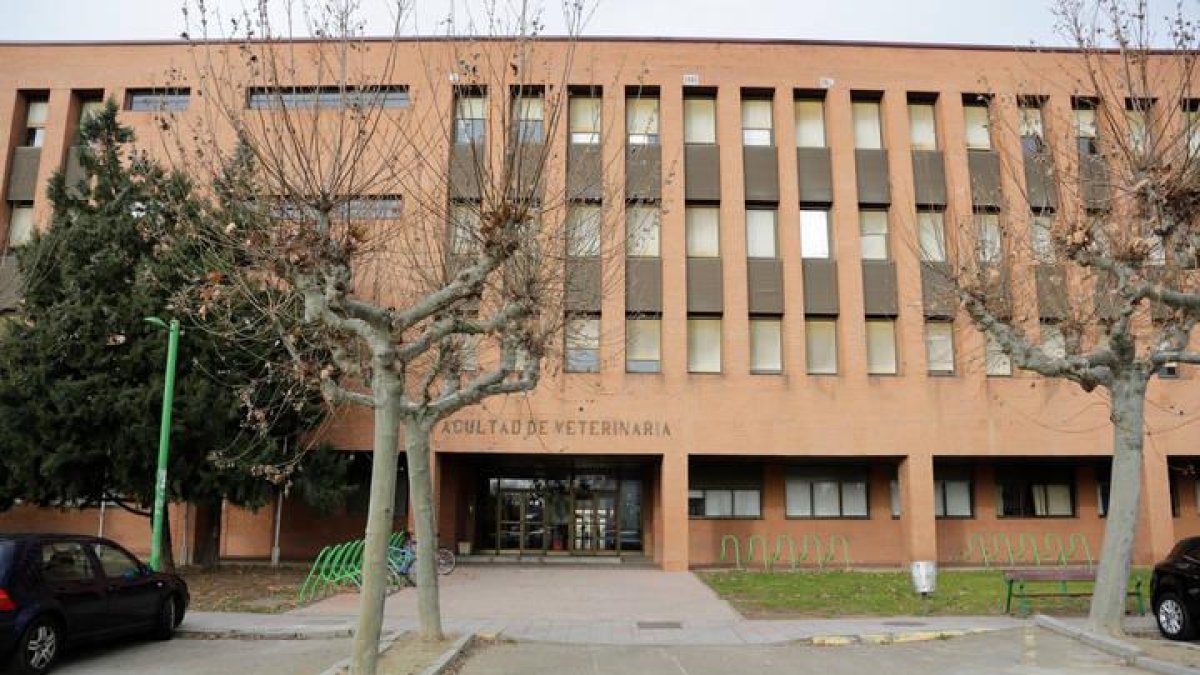 La Facultad de Veterinaria de la ULE participa en la iniciativa 'Micromundo'.