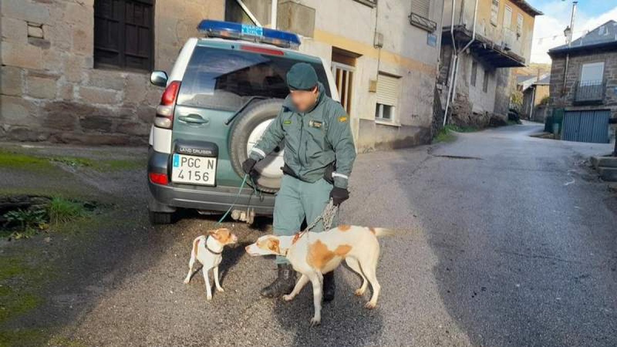 Uno de los agentes con los dos perros abandonados. GUARDIA CIVIL
