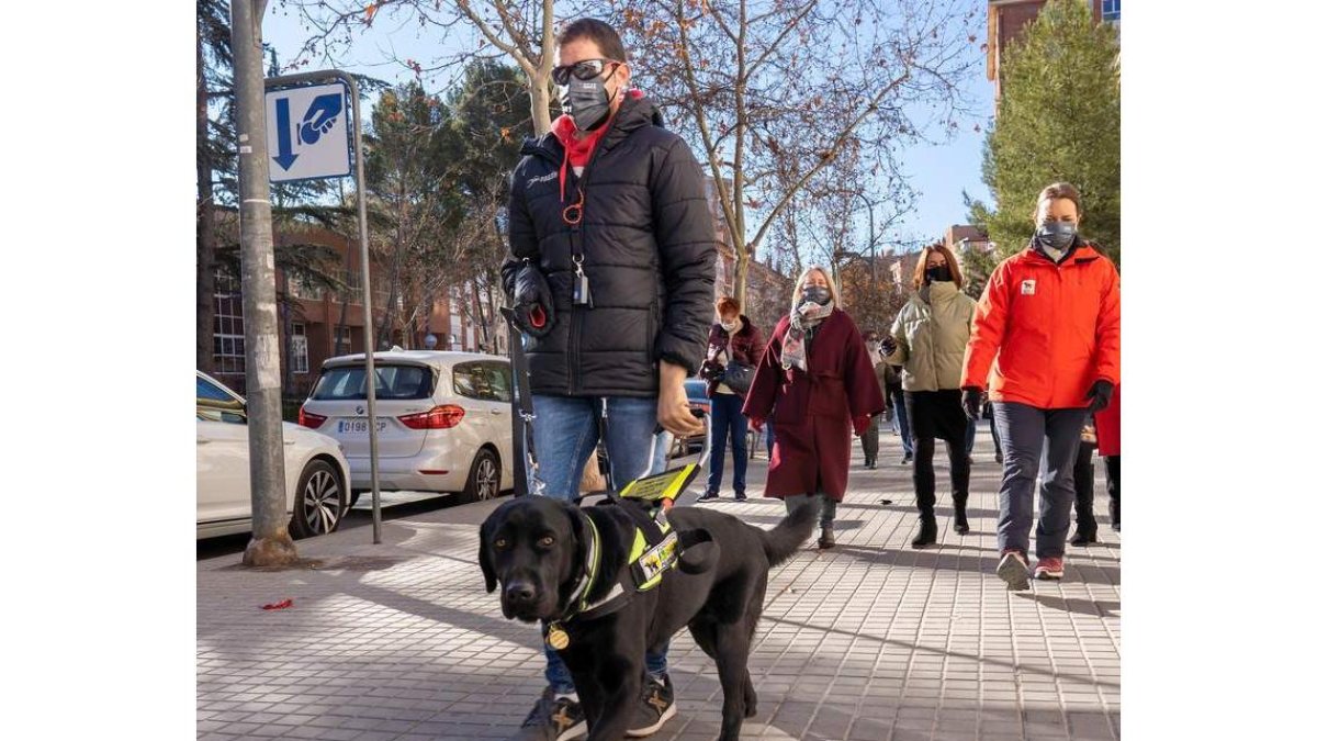 Xabat es el perro guía de la Once que da más autonomía a Alberto Villalba.  ANTONIO GARCÍA