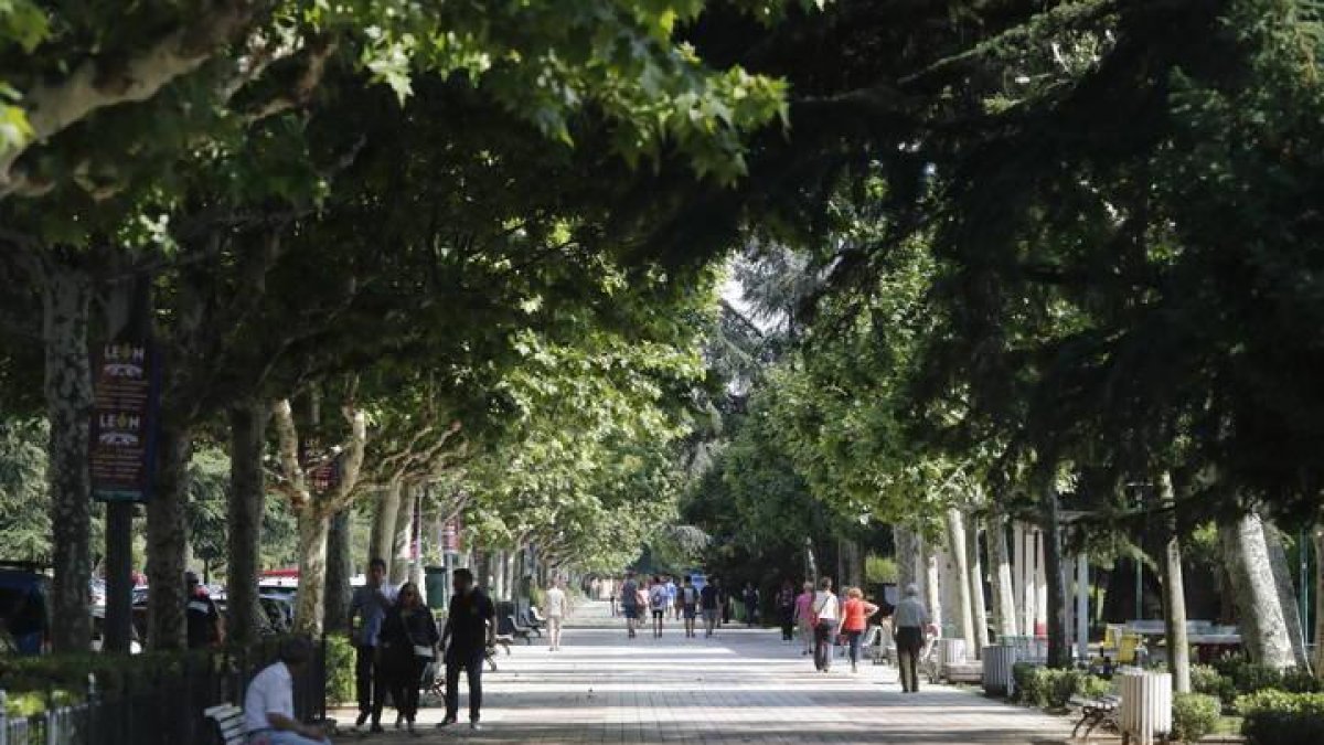 Los hechos sucedieron en el paseo de Papalaguinda