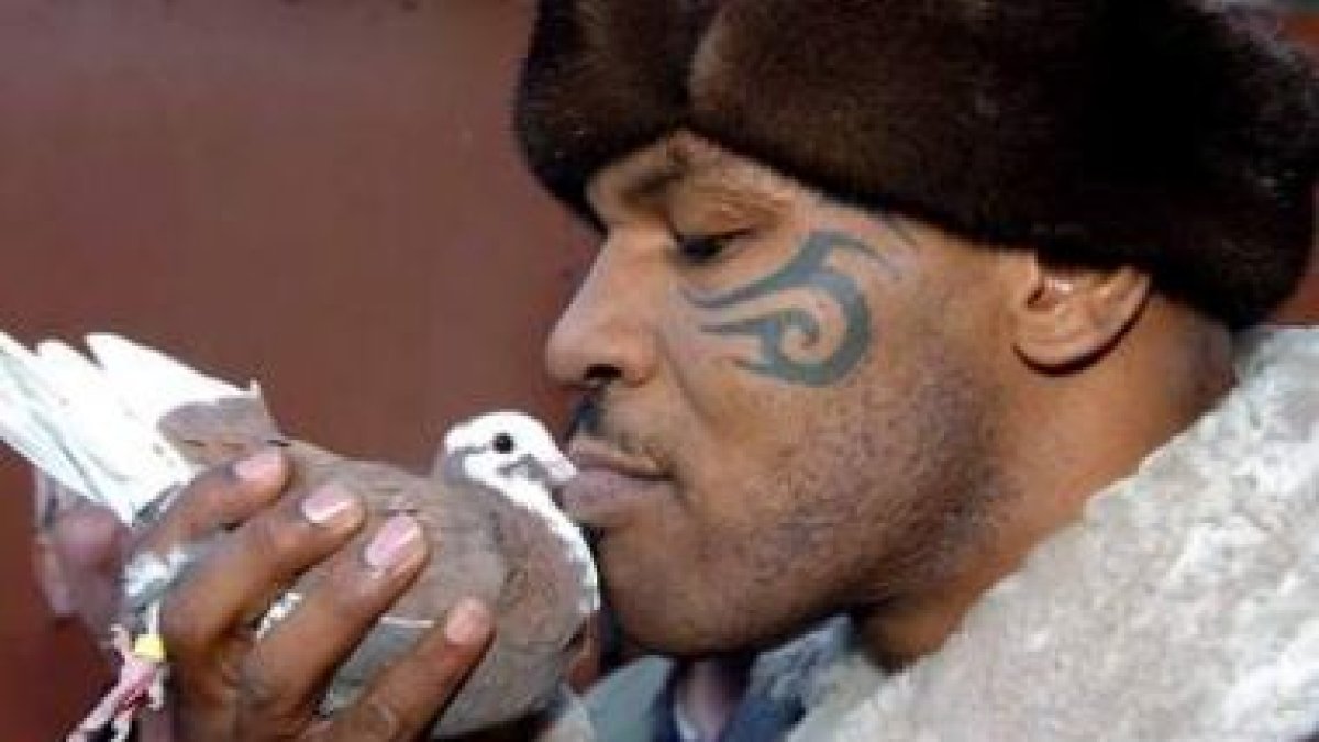 Mike Tyson ha participado en producciones como -˜The Hangover-™ o -˜Entourage-™.
