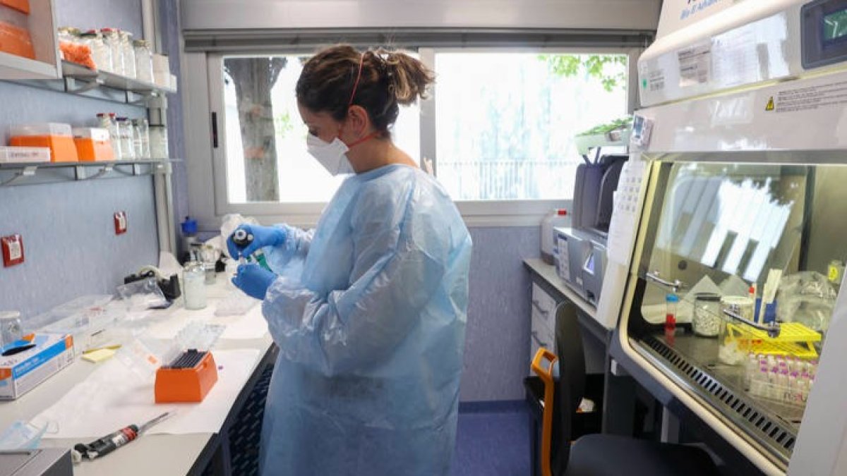 El laboratorio de arbovirus y enfermedades víricas importantes del Centro Nacional de Microbiología. KIKO HUESCA