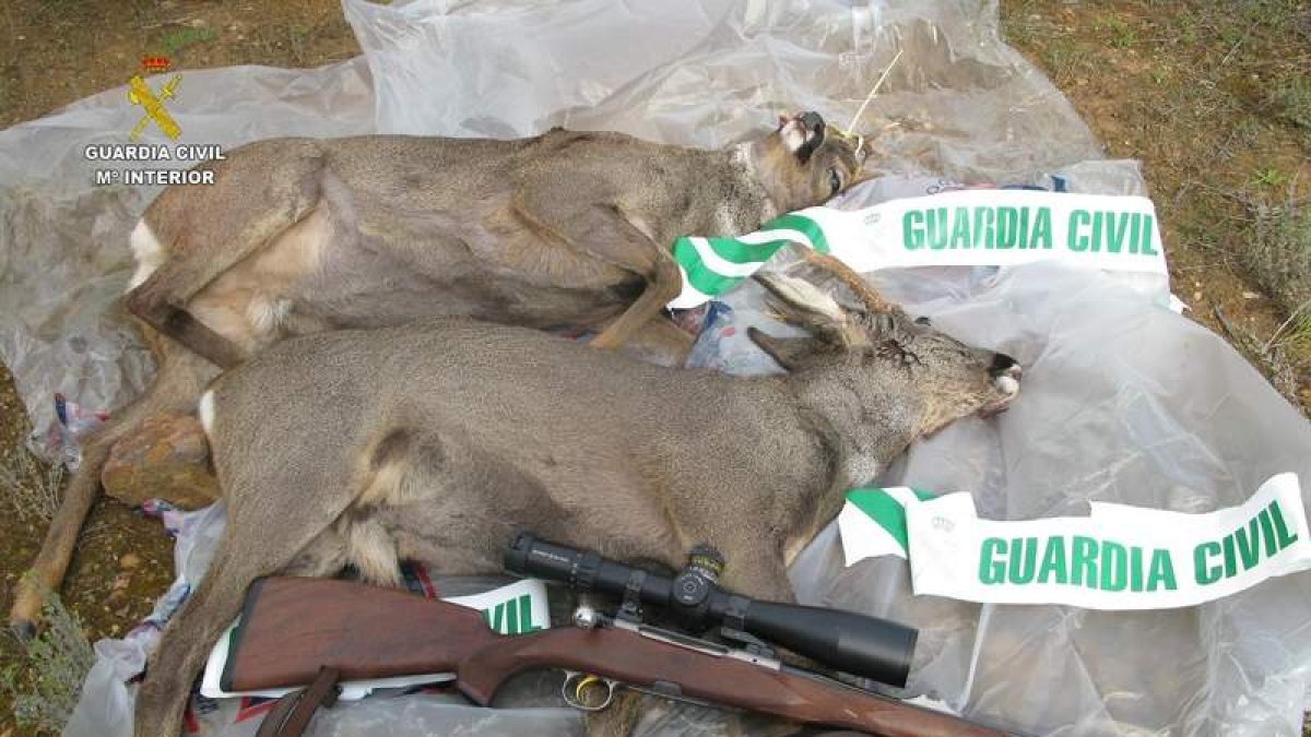 guardia civil