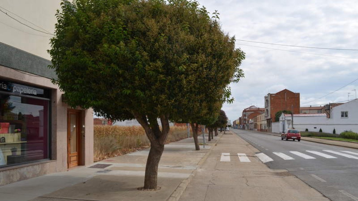 Avenida del Órbigo de Santa María del Páramo, incluida en la primera fase de reforma de aceras. MEDINA