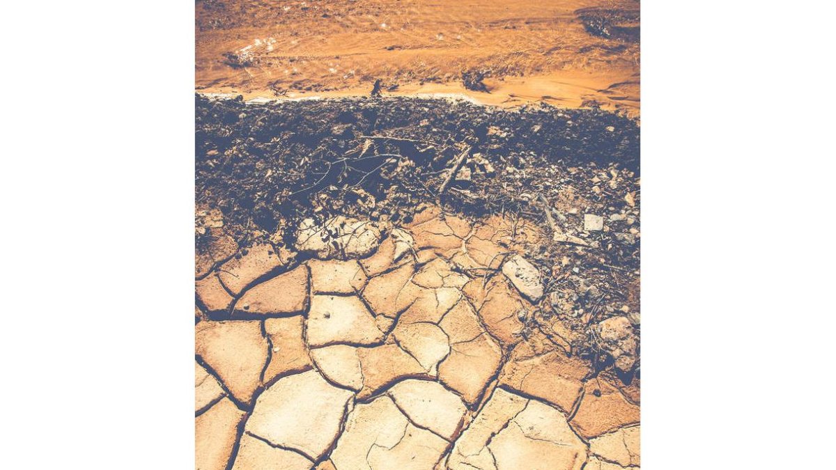 Tierra a Trozos. DAVID CAMPOS, 2020