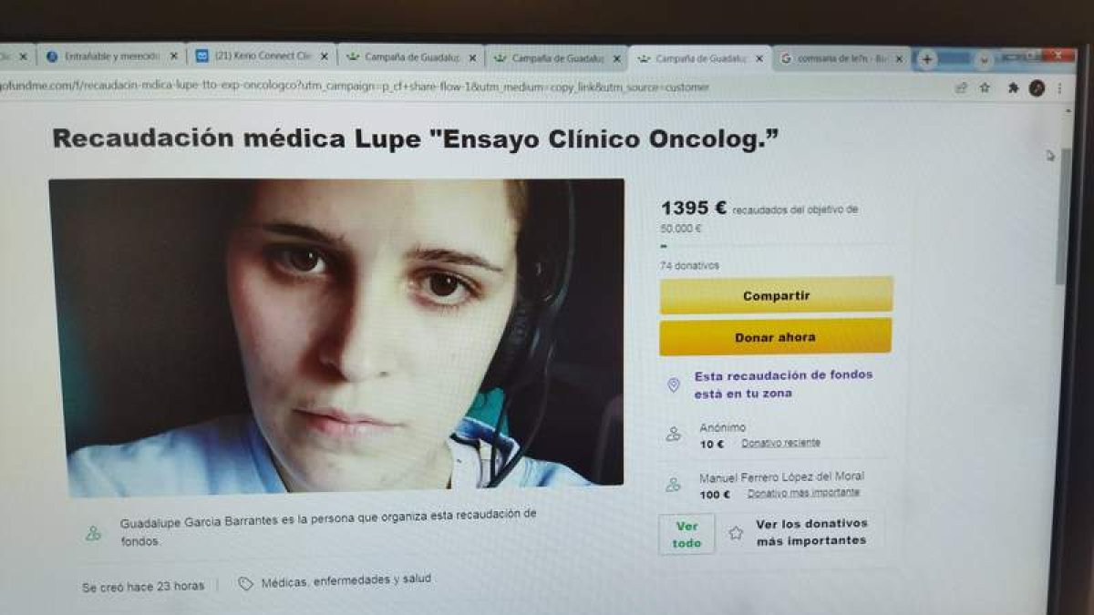 La campaña se hizo en la plataforma Gofundme. DL
