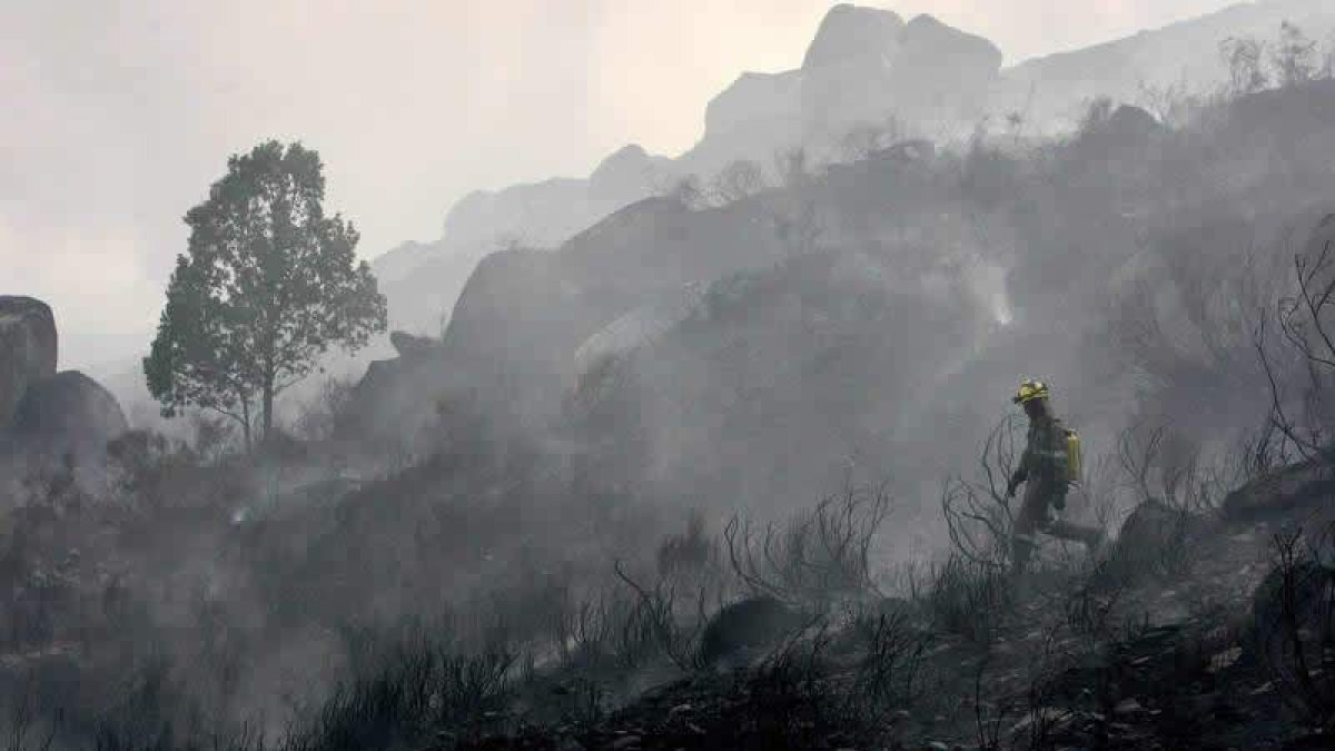 La zona de los Ancares lleva dos semanas asolada por las llamas de cinco incendios.