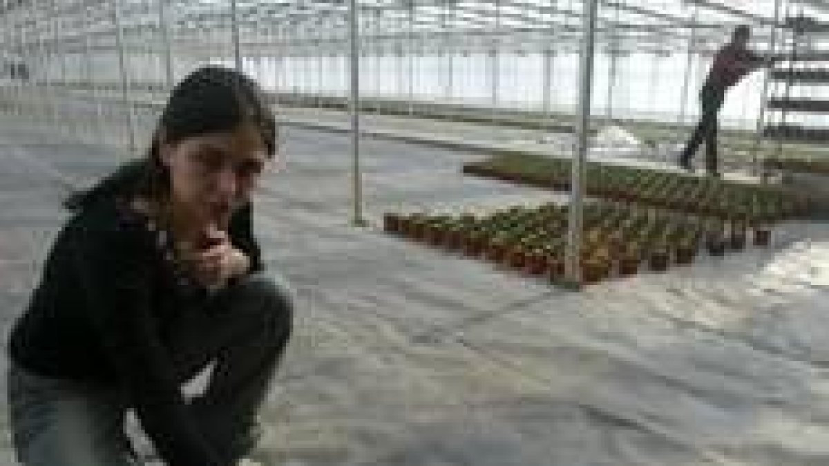 Sofía Prieto señala el fragmento de roca que apareció en uno de sus invernaderos el pasado sábado