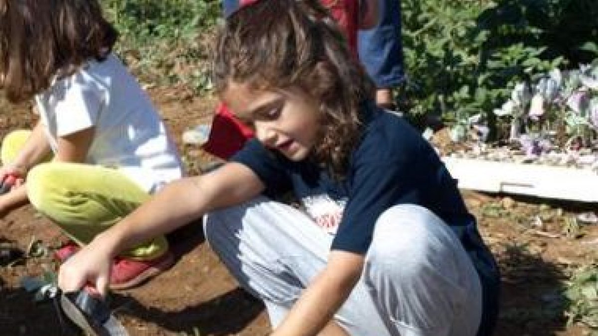 Una niña planta una hortaliza en el huerto infantil, ayer en Matalobos del Páramo.
