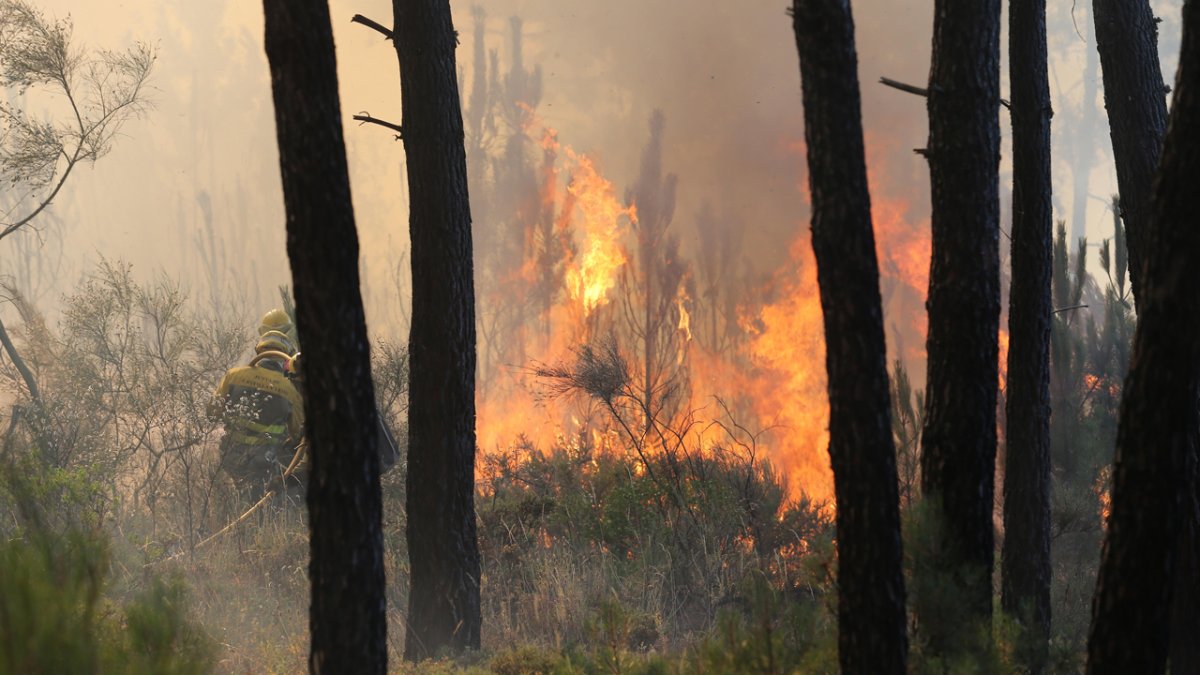 Imagen de archivo de un incendio declarado en la provincia. JESÚS F. SALVADORES
