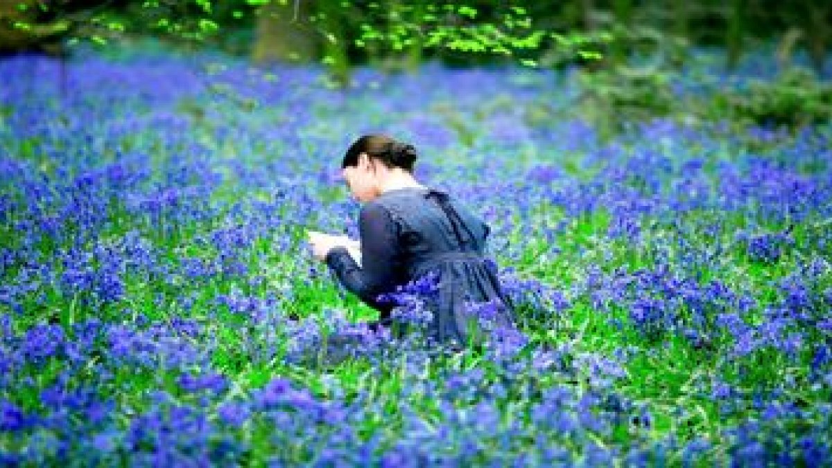 Fotograma de una de las imágenes de la película de Jane Campion «Bright Star»