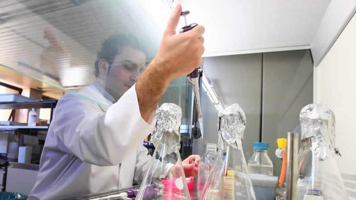 Biotecnología es la carrera que exige mayor nota. SECUNDINO PÉREZ