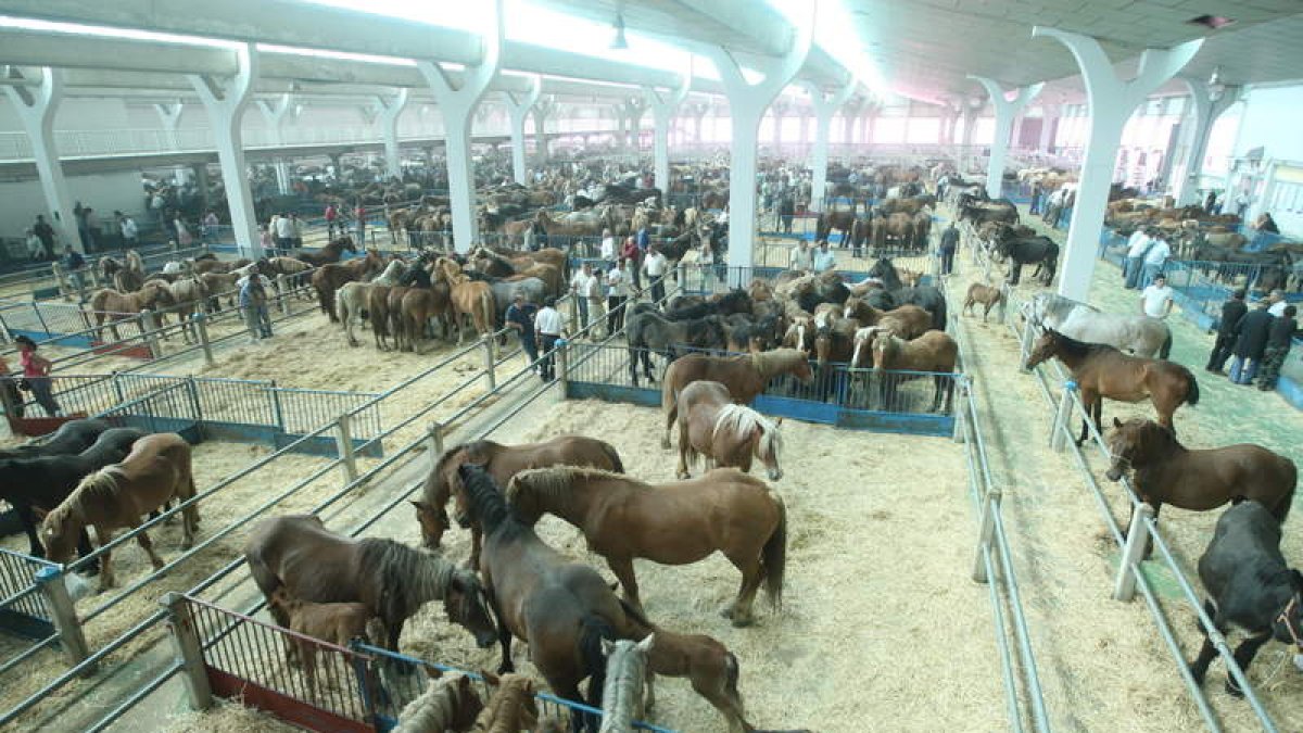 Nave principal del mercado nacional de ganado durante una de las ferias de San Juan