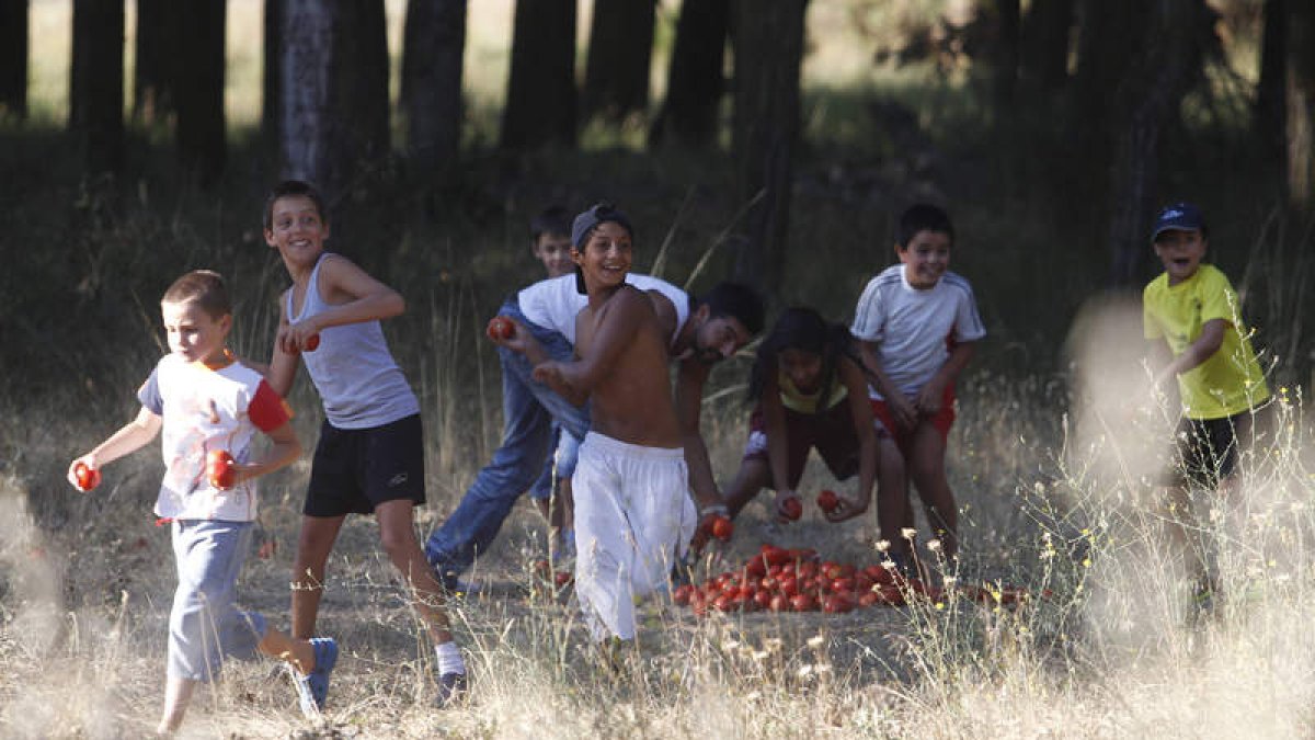 La popular Tomatina, celebrada ayer, hizo que volasen por el cielo de Mansilla alrededor de 800 kilos de tomate.