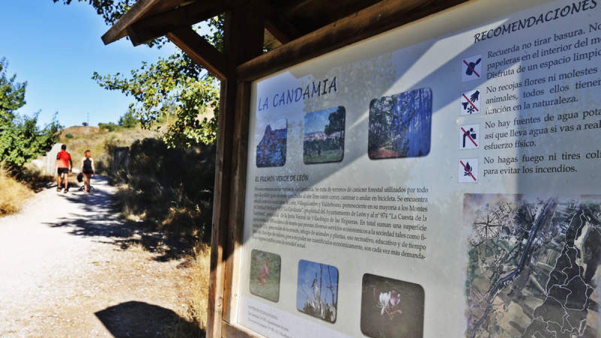 Inicio del paseo hacia los pinos desde la orilla izquierda del río Torío con el nuevo panel. RAMIRO