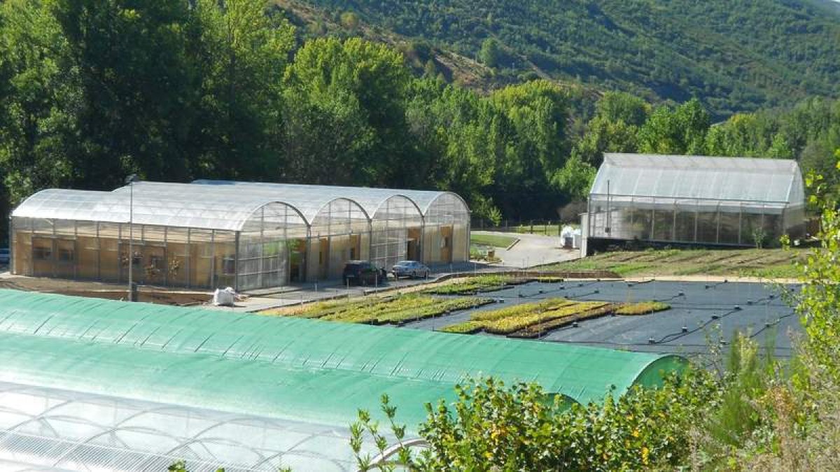 El vivero de la Ciuden en Pobladura de las Regueras se adaptará para investigación sobre implantación, injertos y semillas. DL