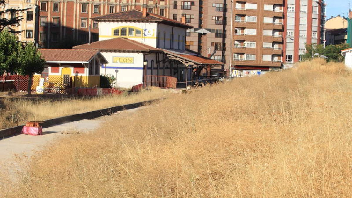 La maleza y los materiales amontonados forman parte del escenario de la estación.