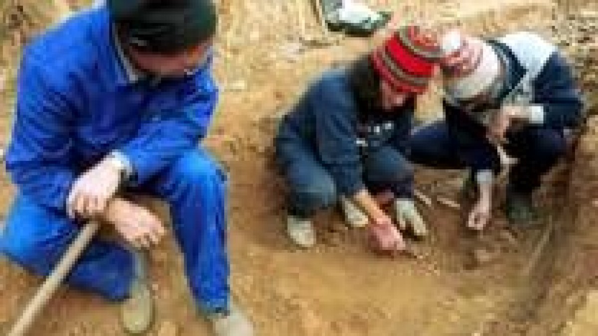 Un grupo de arqueólogos limpiando huesos de represaliados en una fosa común localizada en Priaranza