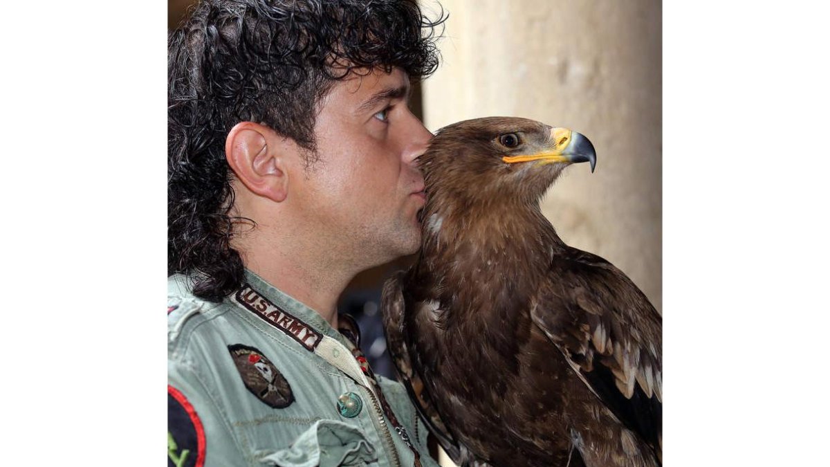 Una de las aves que participará en las jornadas de cetrería de León.