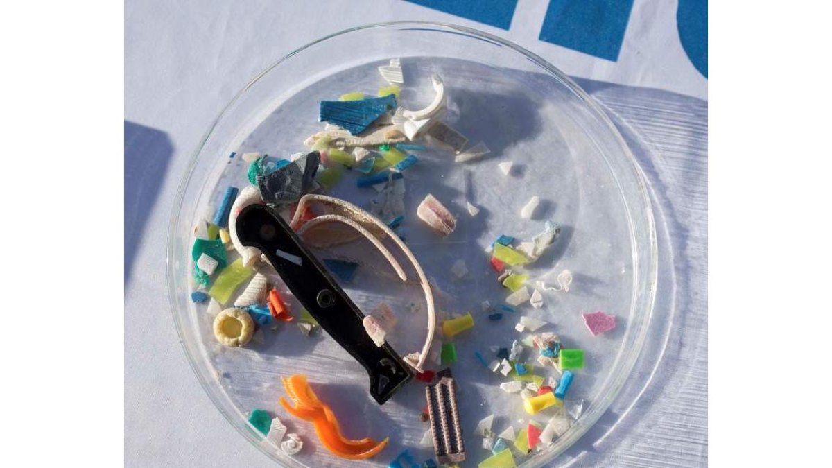 Microplásticos recuperados por el velero ‘Le Bateau’. DAVID ARQUIMBAU SINTES