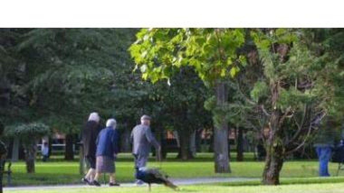Parque de Quevedo en la capital leonesa