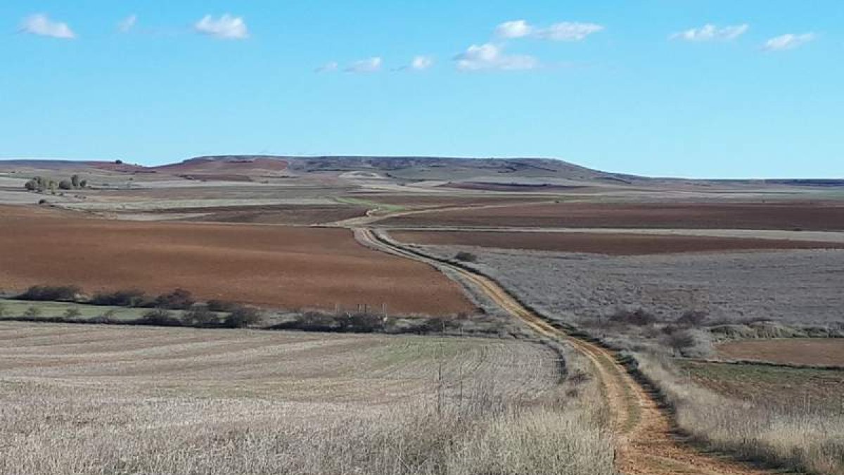 En las imágenes se aprecian dos tramos bien distintos de las rutas diseñadas por el Ayuntamiento con las llanuras de los Oteros y las riberas de la Vega del Esla. DL