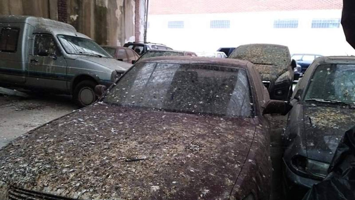 Algunos vehículos llevan años en Bodegas Cándidas, deteriorándose y saturando las instalaciones. DL