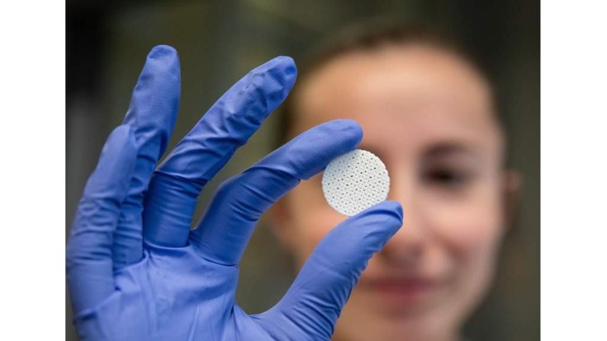 Una investigadora muestra un ‘scaffold’. DAVID BORRAT