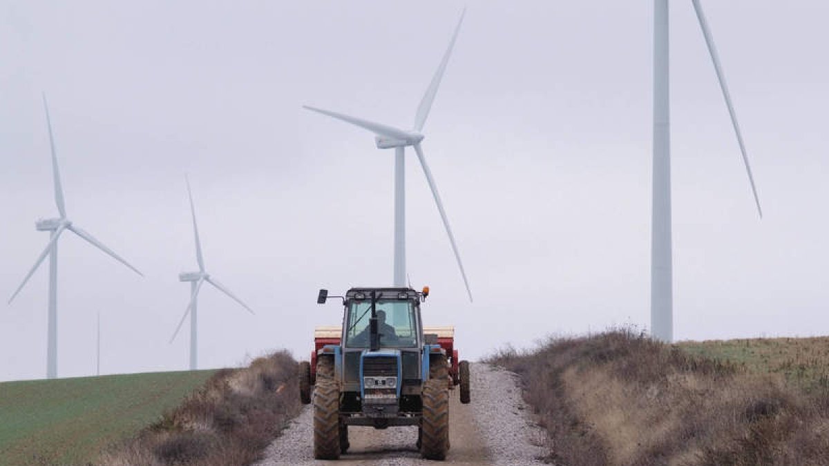 Imagen de molinos eólicos similares a las que se pretenden instalar en el sur de la provincia. ACACIO