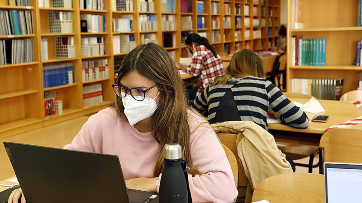 Una alumna de la Universidad de León trabaja con su ordenador en una de las bibliotecas del Campus de Vegazana. MARCIANO PÉREZ
