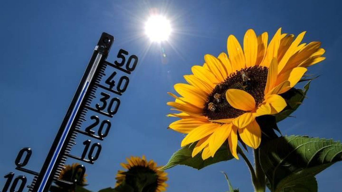 El jueves se espera que haya al menos 40 grados en 15 capitales de provincia