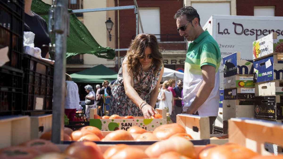 Feria del tomate en Mansilla de las Mulas. F. Otero Perandones.
