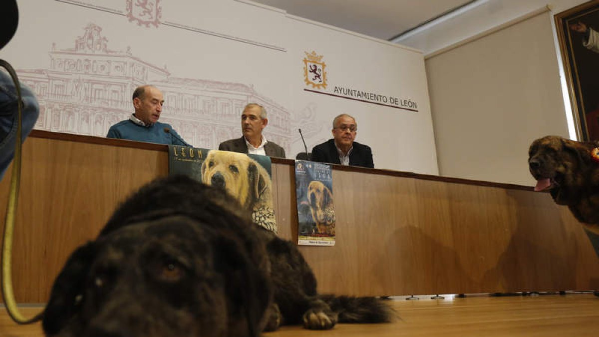 Presentación de la exposición canina. FERNANDO OTERO