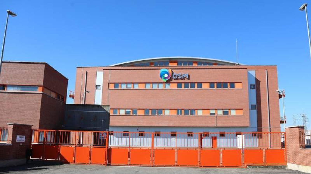 Vista exterior de la factoría de DSM Vitatene, ubicada en la margen derecha del Bernesga, junto a la LE-11.