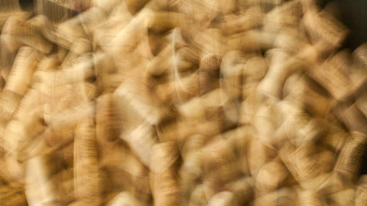 ‘Corchos’, de Virginia Morán, seleccionada con sólo cinco más. V.M.