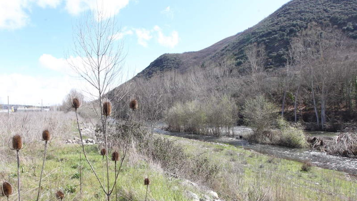 Imagen del cauce del río Sil en las inmediaciones del barrio de Flores.