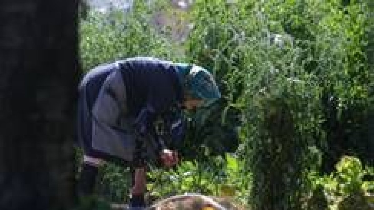 La inauguración se realizó en la bodega donde se han invertido más de 300.000 euros