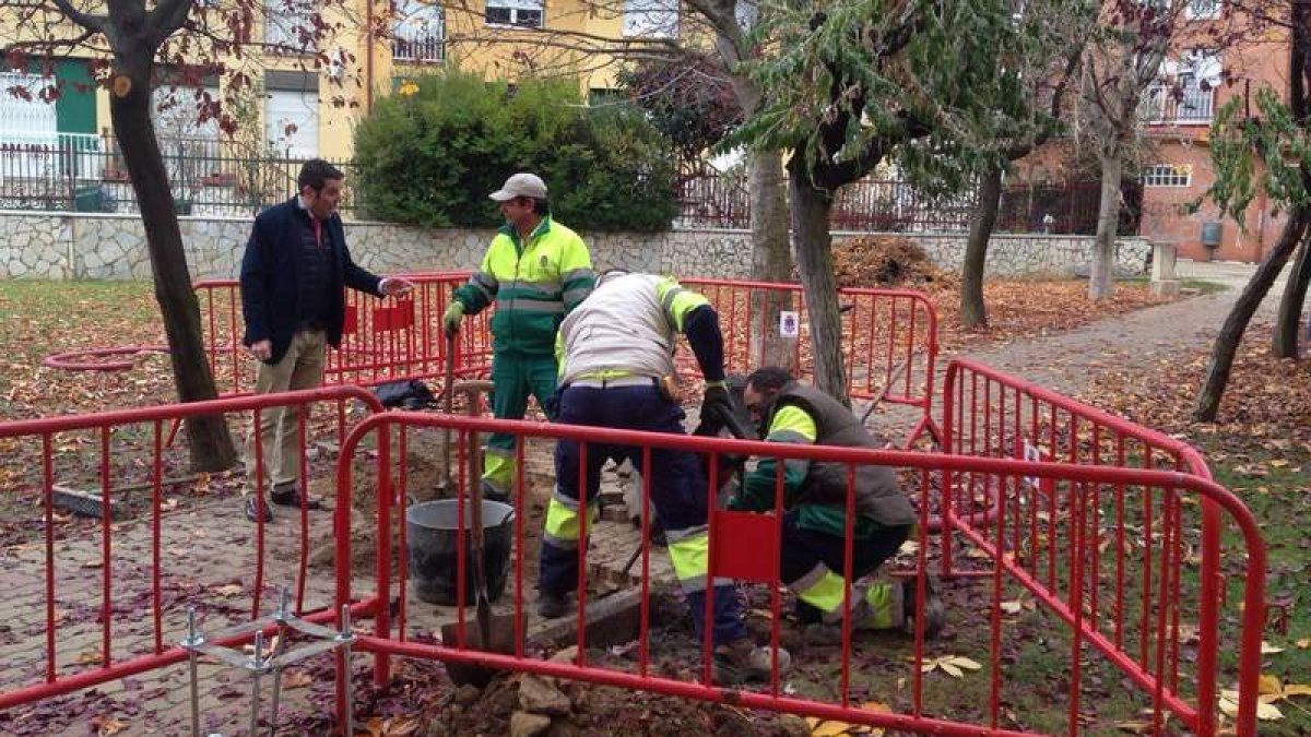 Gómez y los operarios que instalan las luminarias en La Cabrera. DL