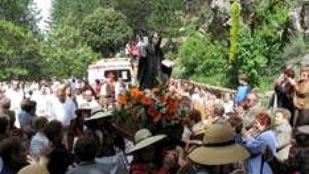 CAMPOS